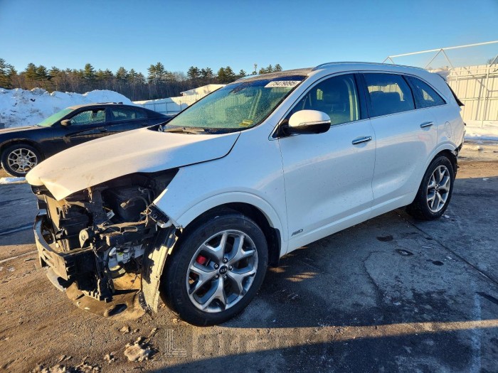 Kia Sorento 2019 VIN 5XYPKDA58KG456982