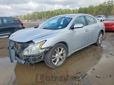 Nissan Maxima 2013 VIN 1N4AA5AP7DC817356