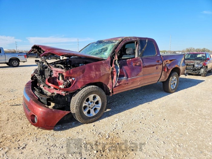 Toyota Tundra 2006 VIN 5TBET34166S557561
