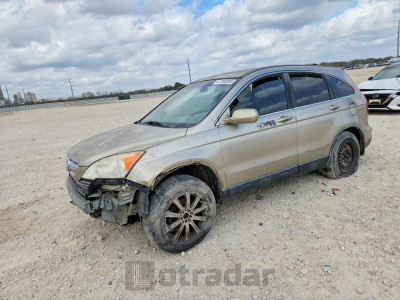 Honda Cr-v 2007 JHLRE38717C051966