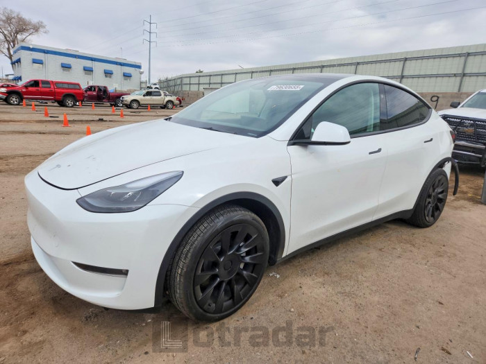 Tesla Model y 2023 VIN 7SAYGDEE7PF922452