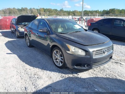 Nissan Maxima 2011 1N4AA5APXBC830454