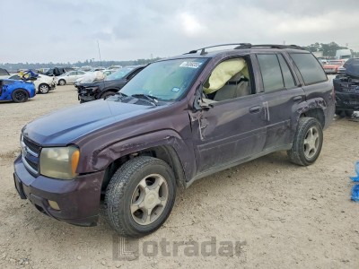 Chevrolet Trailblazer 2009 VIN 1GNDS33S192118075
