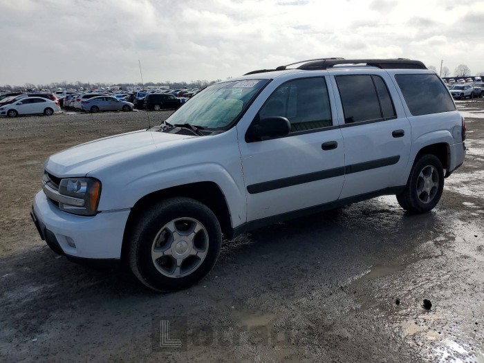 Chevrolet Trailblazer 2005 VIN 1GNET16S456145615