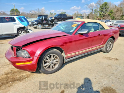 Ford Mustang 2005 1ZVFT84N655257340