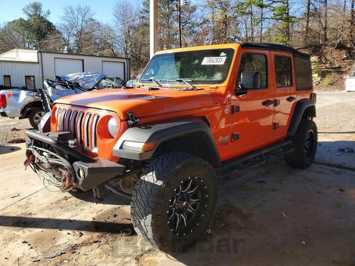 Jeep Wrangler / 2018 VIN 1C4HJXDG9JW299650