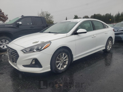 Hyundai Sonata 2019 5NPE24AF8KH806877