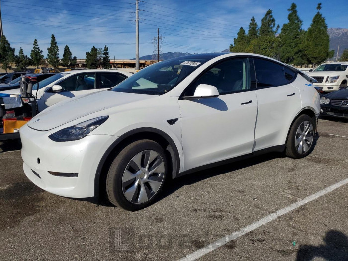 Tesla Model y 2023 VIN 7SAYGDEE0PA035806