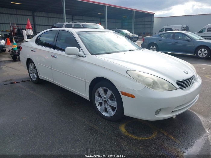 Lexus ES 2006 VIN JTHBA30G865147522