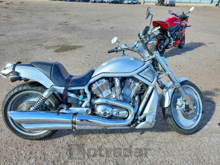 Harley-davidson V-rod muscle 2003 VIN 1HD1HAZ473K840695