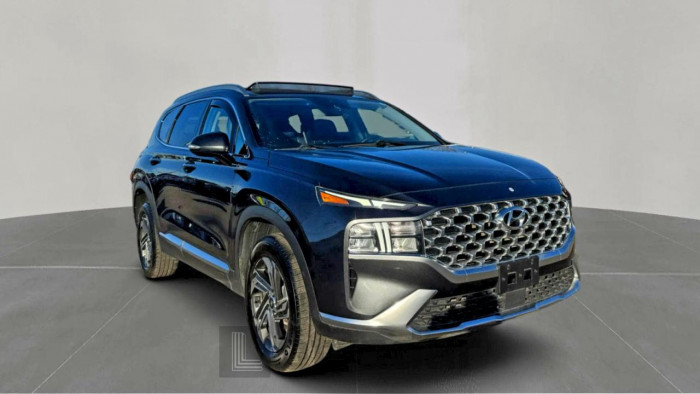 Hyundai Santa fe 2021 VIN 5NMS3DAJ9MH319000