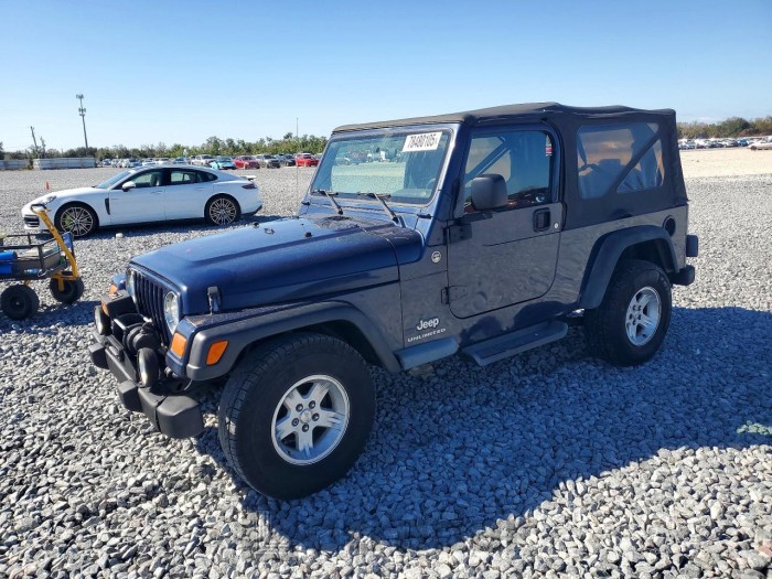 Jeep Wrangler / 2006 VIN 1J4FA44S06P789819