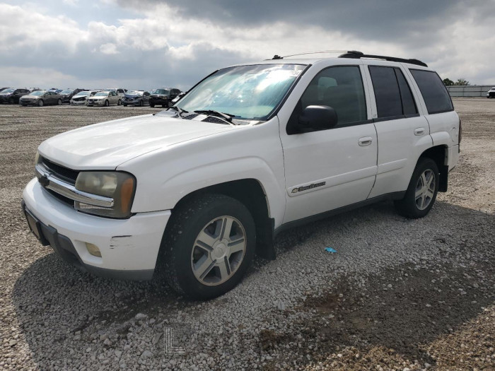 Chevrolet Trailblazer 2004 VIN 1GNDT13S042172784