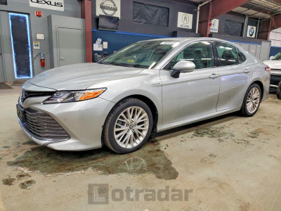 Toyota Camry 2019 4T1B21HKXKU010864