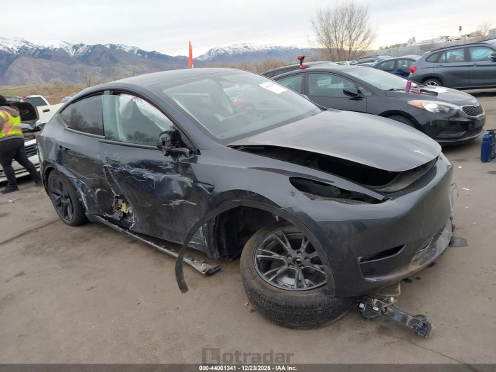 Tesla Model y 2025 VIN 7SAYGDED6SF315426