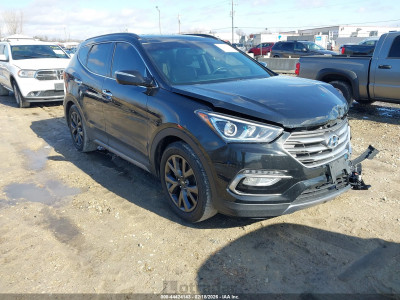 Hyundai Santa fe 2017 5XYZW4LA5HG384798