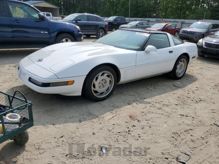 Chevrolet Corvette 1991 VIN 1G1YY2382M5115550