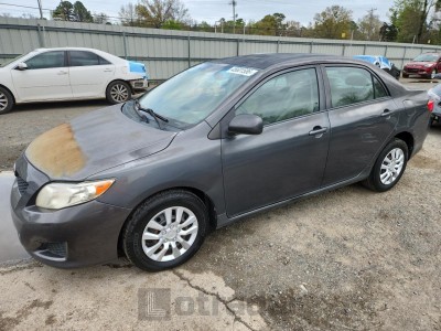 Toyota Corolla 2010 2T1BU4EEXAC310754