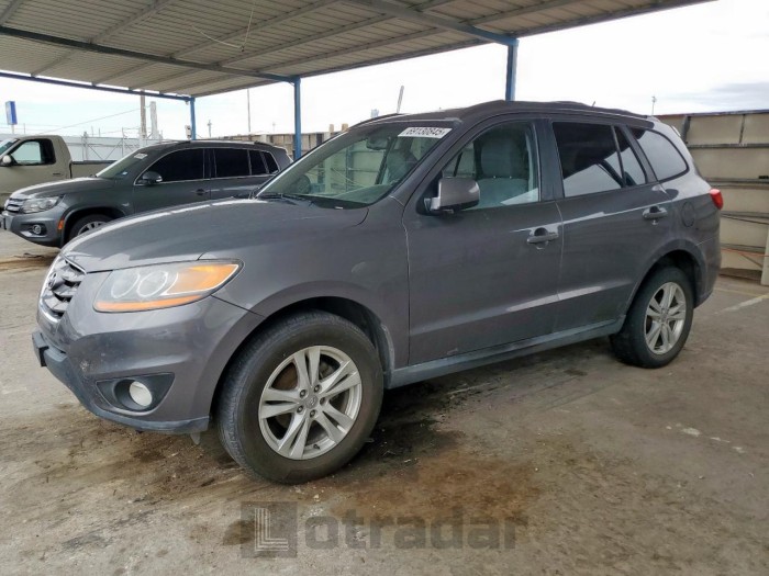Hyundai Santa fe 2010 VIN 5NMSHDAG7AH377012