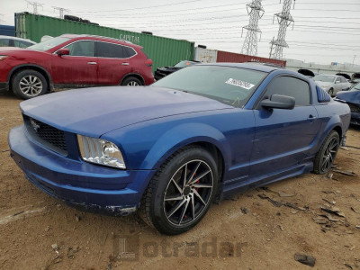 Ford Mustang 2007 1ZVFT80N075239294
