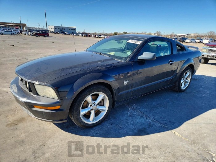 Ford Mustang 2009 VIN 1ZVHT82H195139045