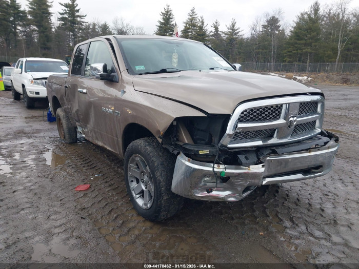 Dodge Ram 2009 VIN 1D3HV13T49J504338