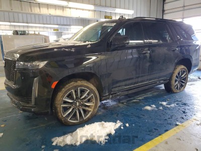 Cadillac Escalade 2022 1GYS4GKL2NR221934