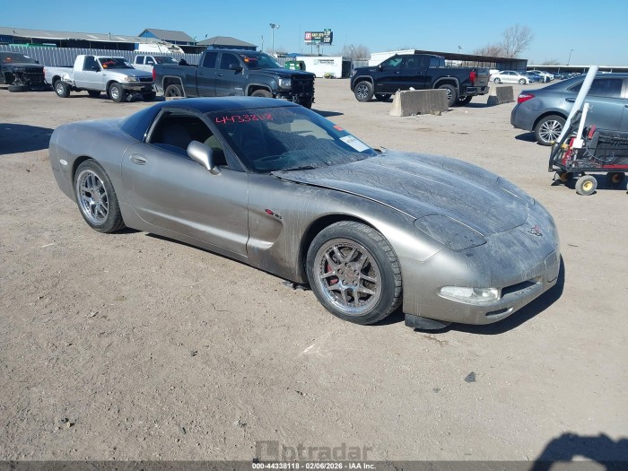 Chevrolet Corvette 2001 VIN 1G1YY22G215109851
