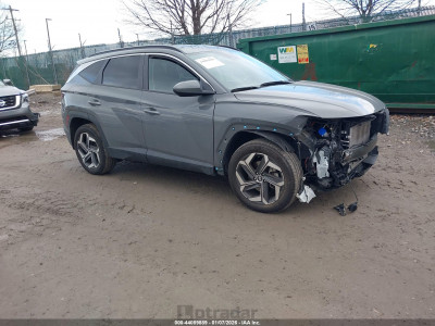Hyundai Tucson 2024 5NMJBCDE6RH423863