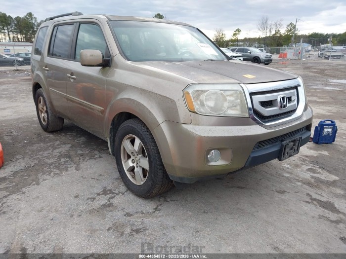 Honda Pilot 2009 VIN 5FNYF385X9B028566