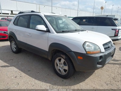 Hyundai Tucson 2005 KM8JN72D25U146006
