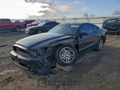 Ford Mustang 2014 1ZVBP8AMXE5282398