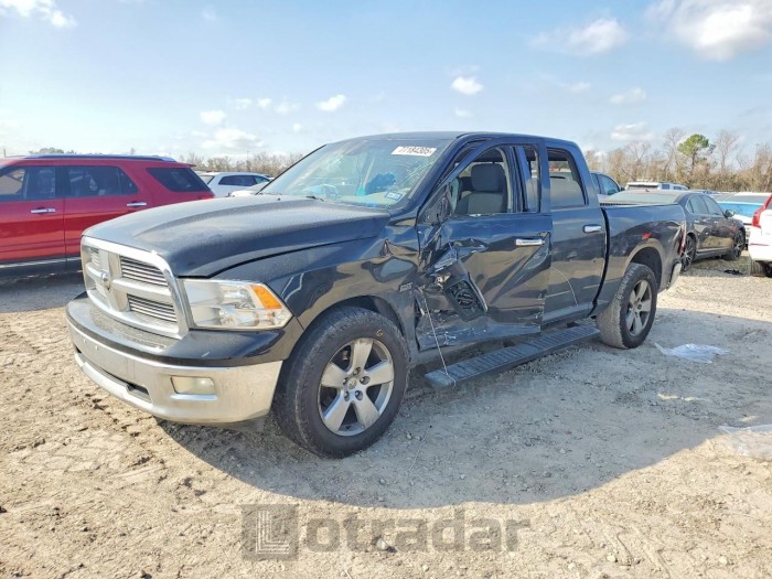 Dodge Ram 2009 VIN 1D3HB13T59S708021