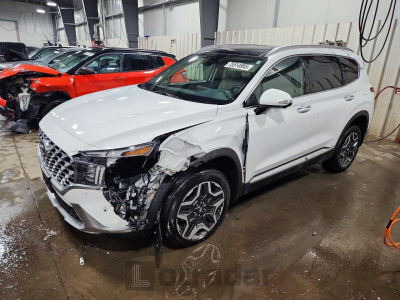 Hyundai Santa fe 2023 5NMS4DAL2PH635695