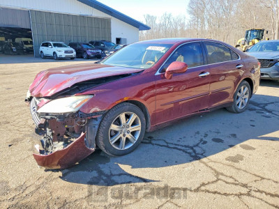 Lexus ES 2007 JTHBJ46G772081626