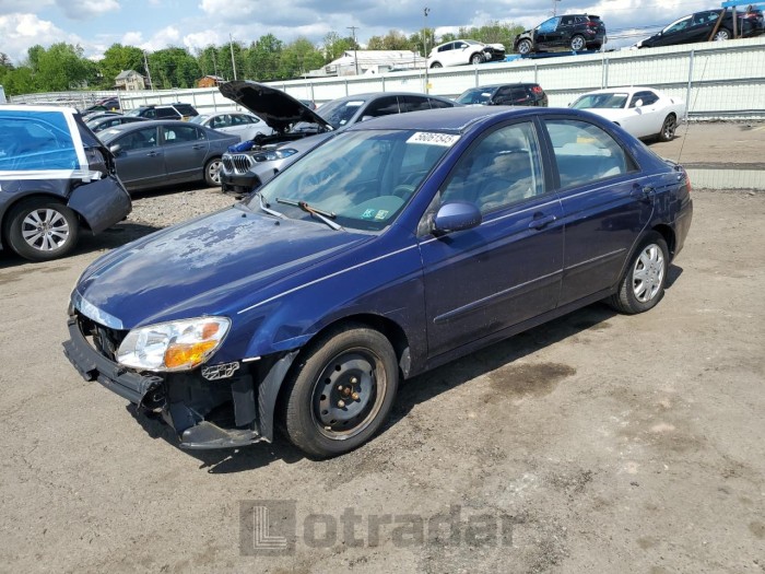 Kia Spectra 2008 VIN KNAFE122485536669