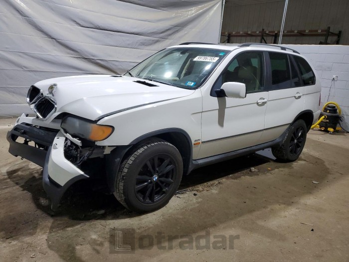 BMW X5 2002 VIN 5UXFA53562LP44827