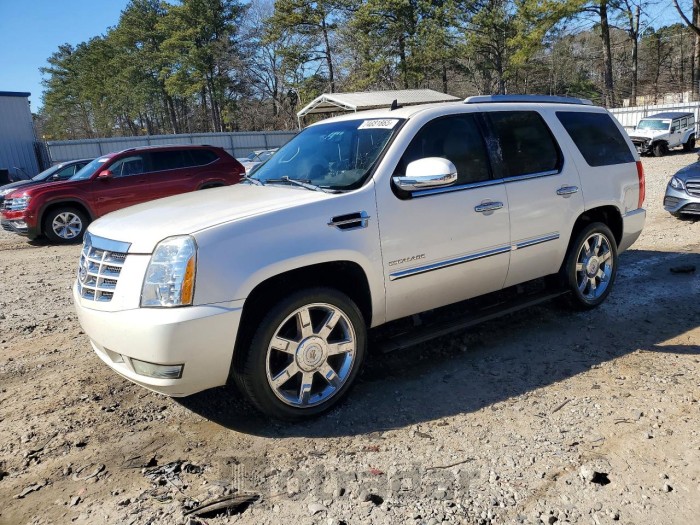 Cadillac Escalade 2010 VIN 1GYUKCEF6AR284834