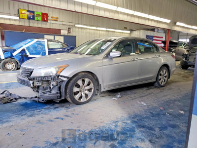 Honda Accord 2008 1HGCP36828A067309