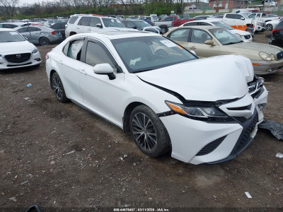 Toyota Camry 2019 4T1B11HK2KU765462