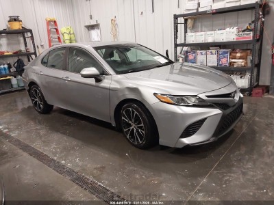 Toyota Camry 2019 4T1B11HKXKU176689