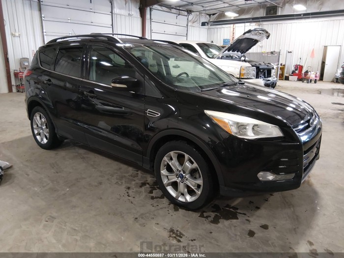 Ford Escape 2013 VIN 1FMCU0H99DUB52924