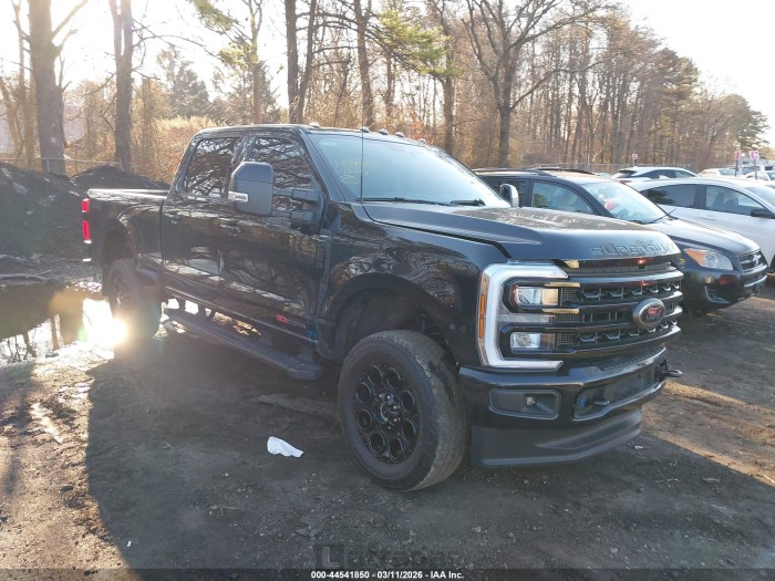 Ford F250 2024 VIN 1FT8W2BM9REF41075