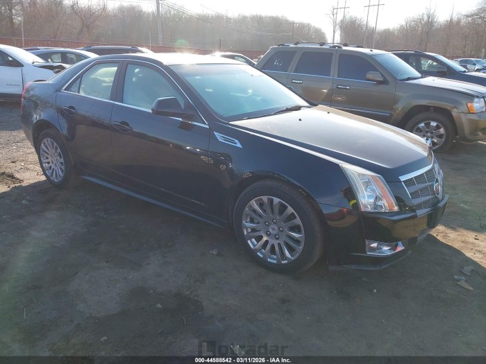 Cadillac Cts 2010 VIN 1G6DJ5EV3A0105930