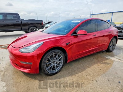 Tesla  2022 5YJ3E1EB3NF313308