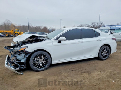 Toyota Camry 2024 4T1G11AK3RU250979