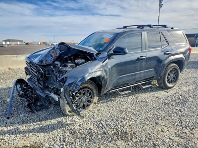 Toyota  2025 JTEVA5BR2S5069608