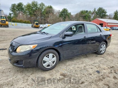 Toyota Corolla 2009 JTDBL40E899032738