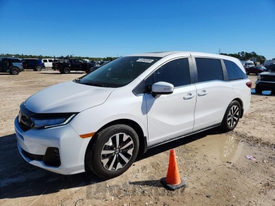 Honda Odyssey 2026 VIN 5FNRL6H65TB007249
