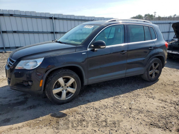 Volkswagen Tiguan 2010 VIN WVGBV7AX6AW529428